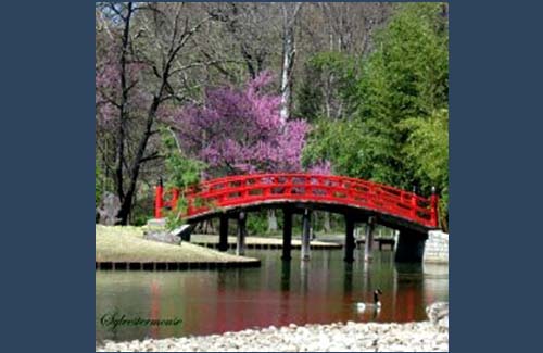 Memphis Botanic Gardens